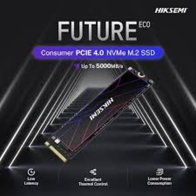 HIKSEMI – HS-SSD-FUTURE Eco 512G NVME Gen 4 Image